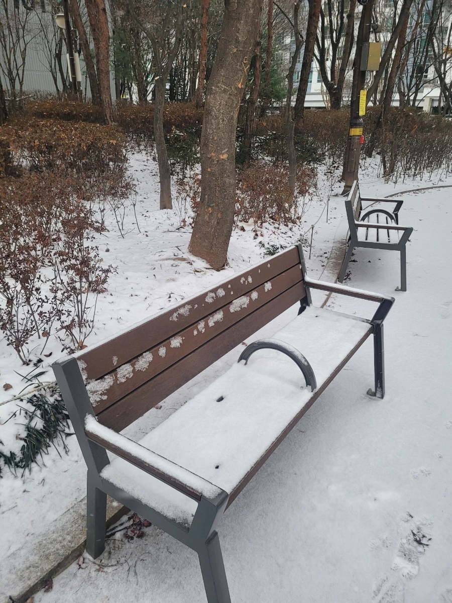 900%EF%BC%BF20250128%EF%BC%BF082127.jpg?type=w966