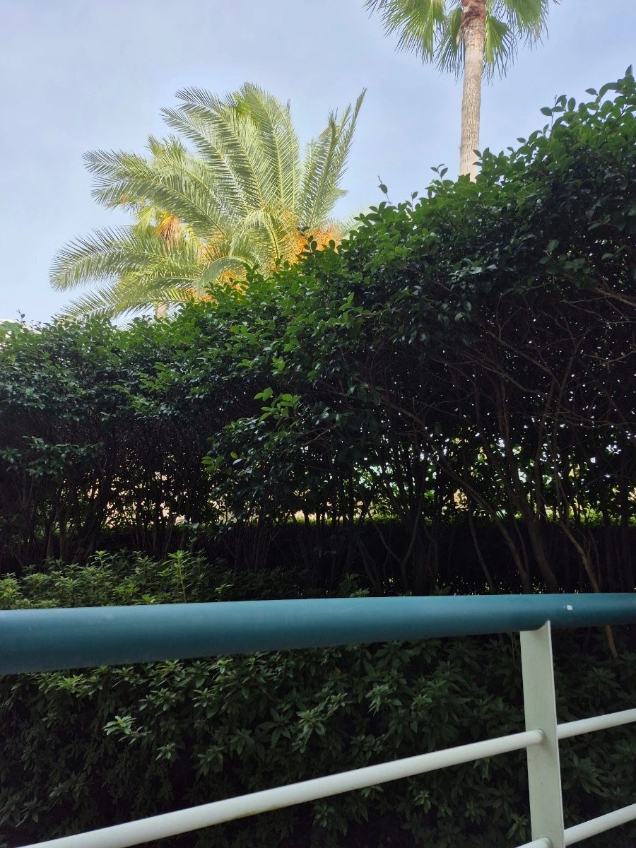 900%EF%BC%BF20251030%EF%BC%BF105852.jpg?type=w966