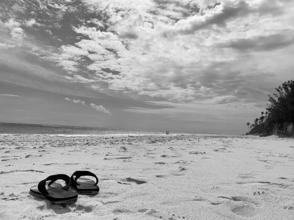 %EB%B0%94%EB%8B%A4%EC%83%8C%EB%93%A4.jpg?type=w966