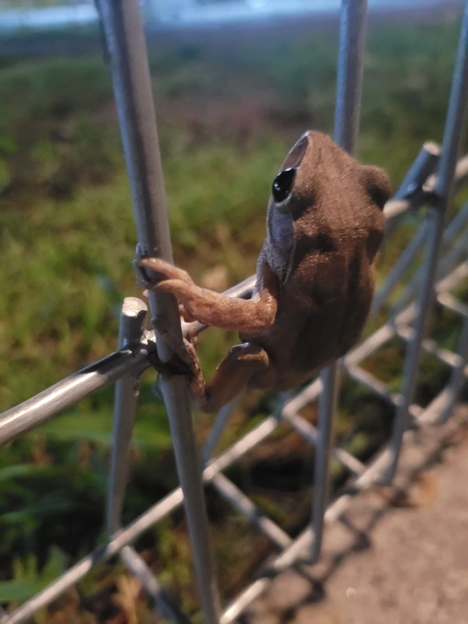 z4418192576150_beb8babef4b6660292a7affc0e275712.jpg?type=w966