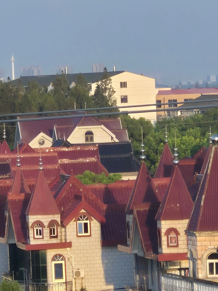 900%EF%BC%BF20250805%EF%BC%BF055508.jpg?type=w966