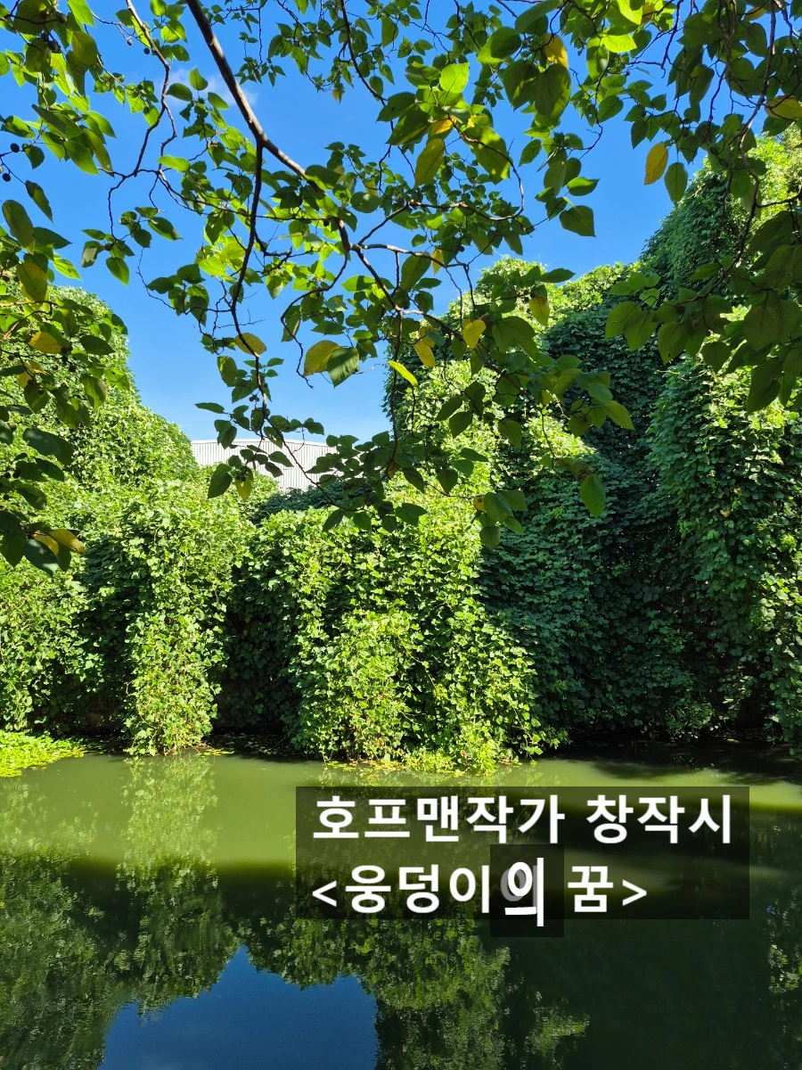 SE-e82adcb1-83a9-11f0-ae52-e12799a75fb8.jpg?type=w966