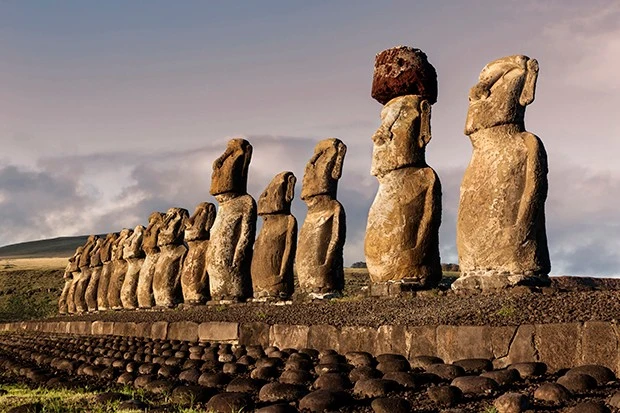 817-462073web-ready-c2bb07a.jpg?type=w966