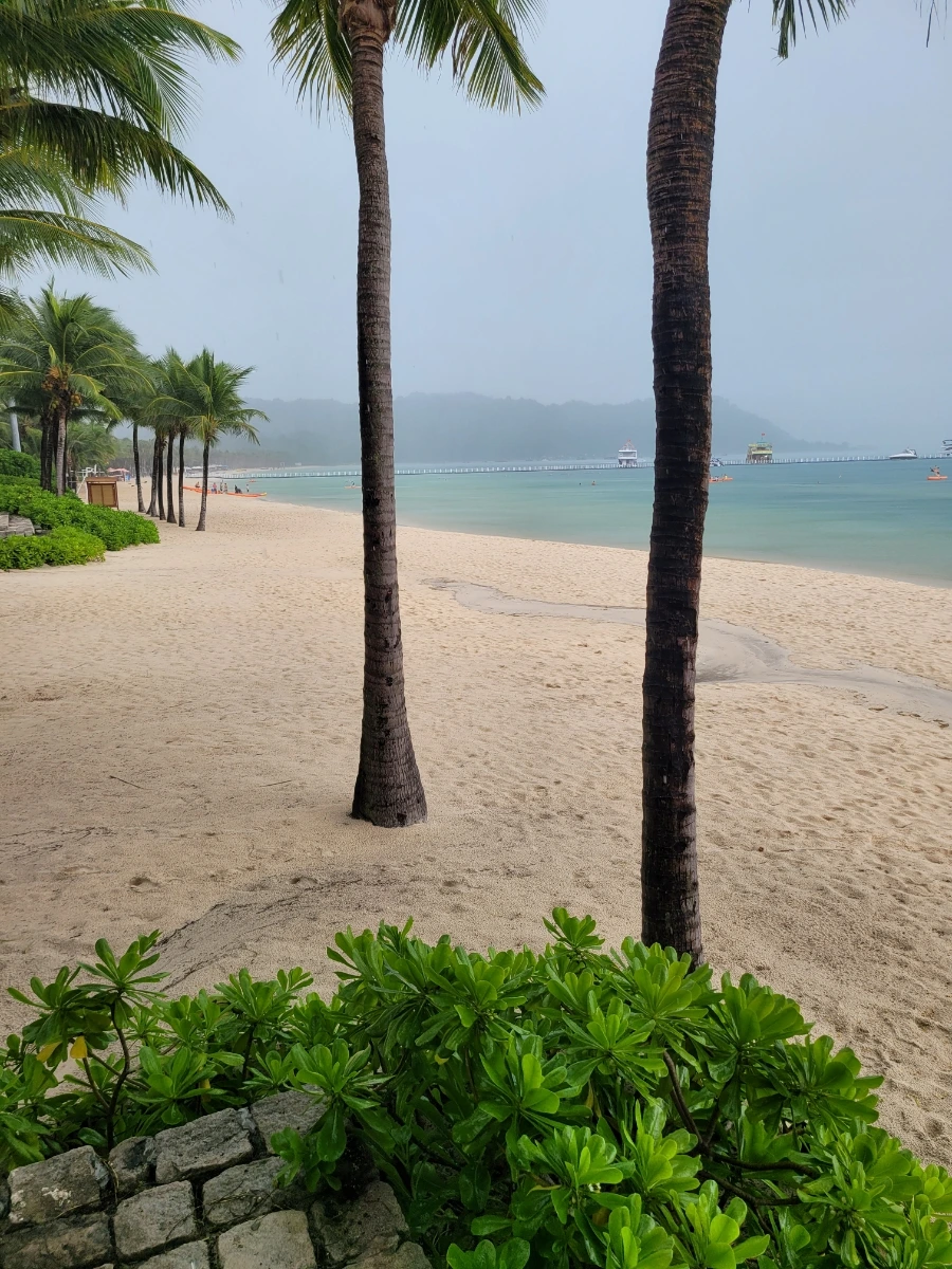 20240901%EF%BC%BF123458.jpg?type=w966