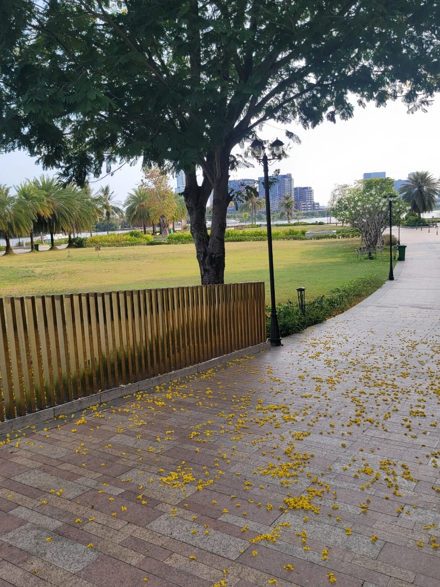 900%EF%BC%BF20250316%EF%BC%BF154401.jpg?type=w966