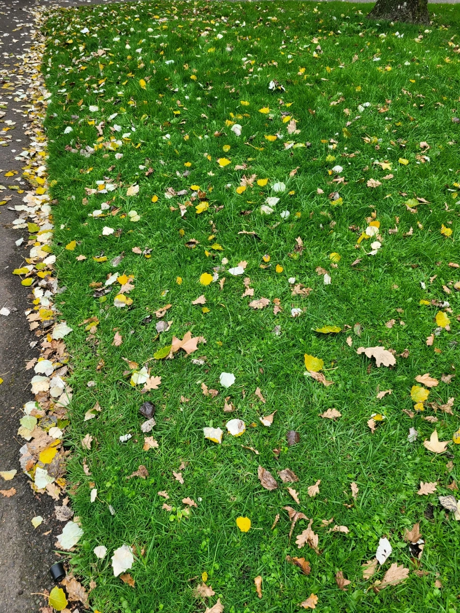 20240429%EF%BC%BF113038.jpg?type=w966