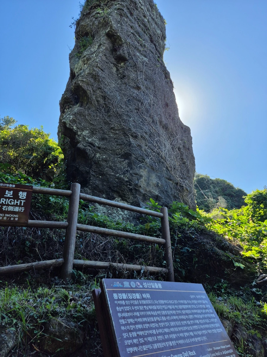 900%EF%BC%BF20251028%EF%BC%BF121052.jpg?type=w966