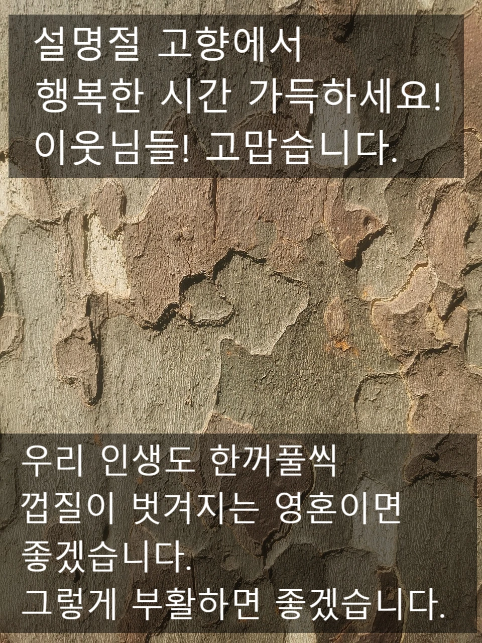 SE-e9b9d5fc-f25b-4427-9861-b749bf8b91f3.jpg?type=w966