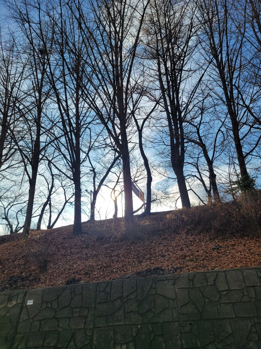 20240215%EF%BC%BF161614.jpg?type=w966