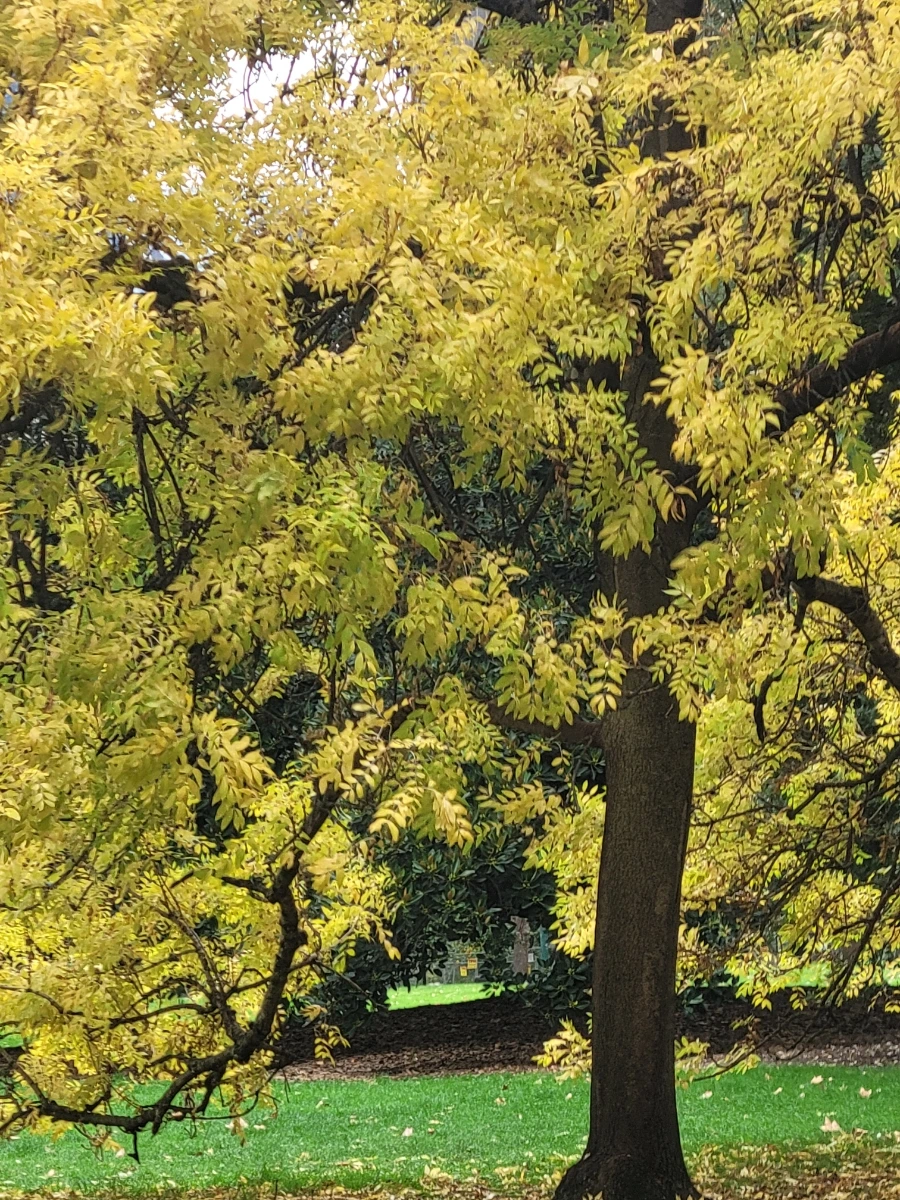 20240429%EF%BC%BF112811.jpg?type=w966