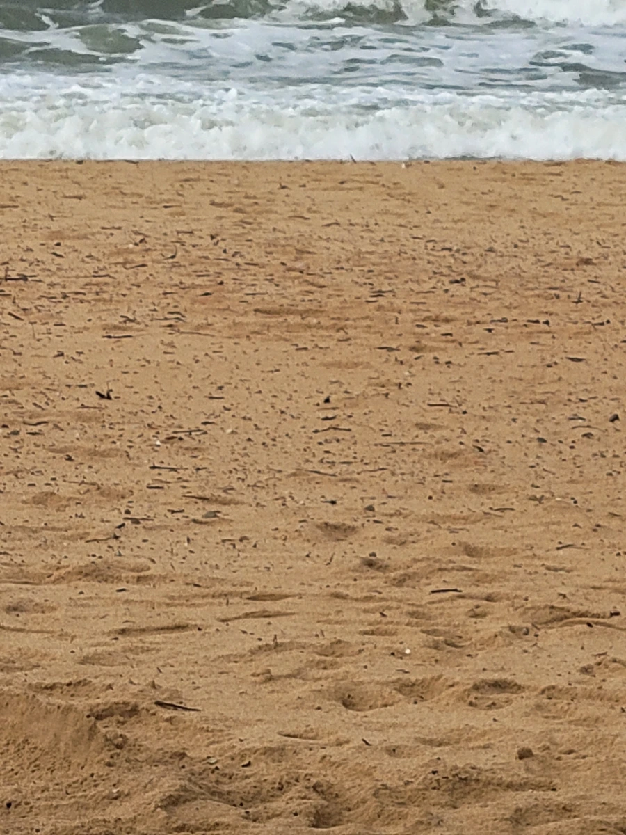 20240901%EF%BC%BF153040.jpg?type=w966