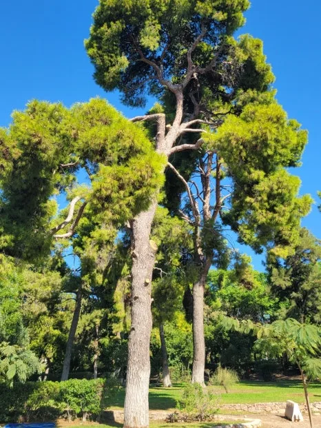 20241016%EF%BC%BF105526.jpg?type=w466