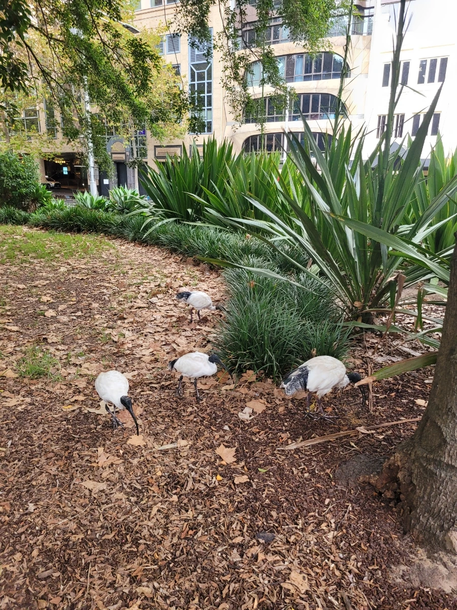 20240430%EF%BC%BF082856.jpg?type=w966