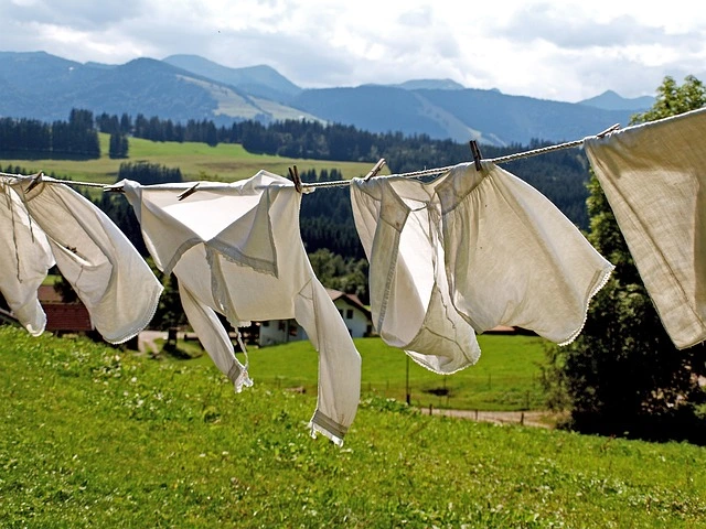 laundry-963150_640.jpg?type=w1