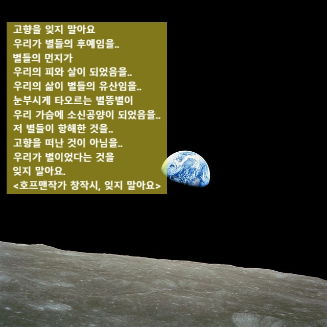 SE-621643b0-e04d-45d0-b90a-a8dda81cedce.jpg?type=w966