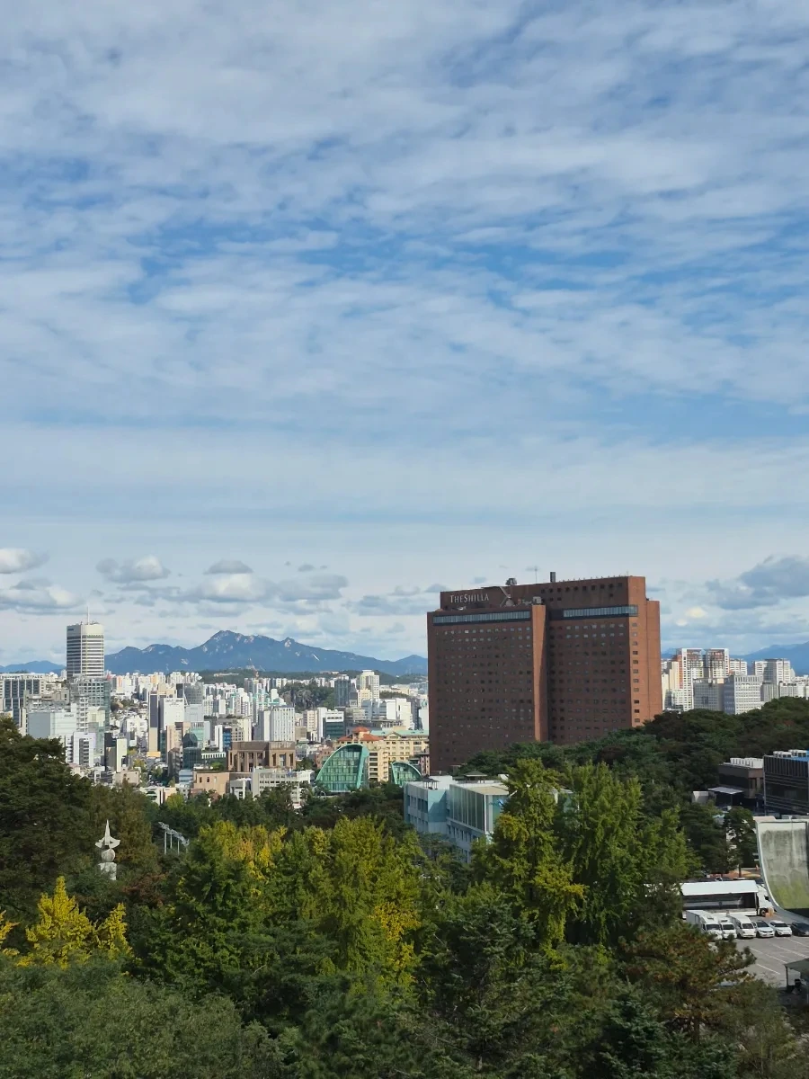 900%EF%BC%BF20251024%EF%BC%BF113832.jpg?type=w966