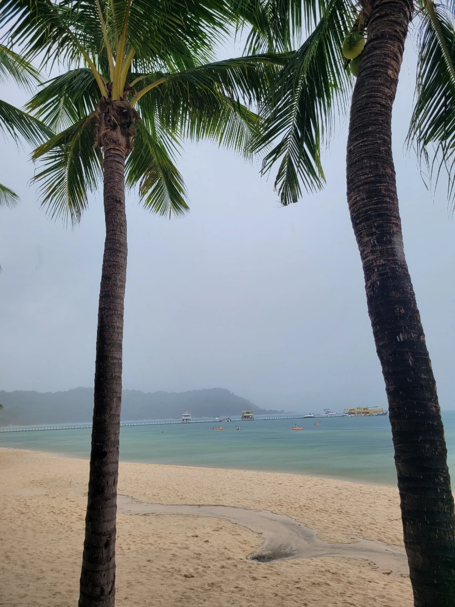 20240901%EF%BC%BF123522.jpg?type=w966