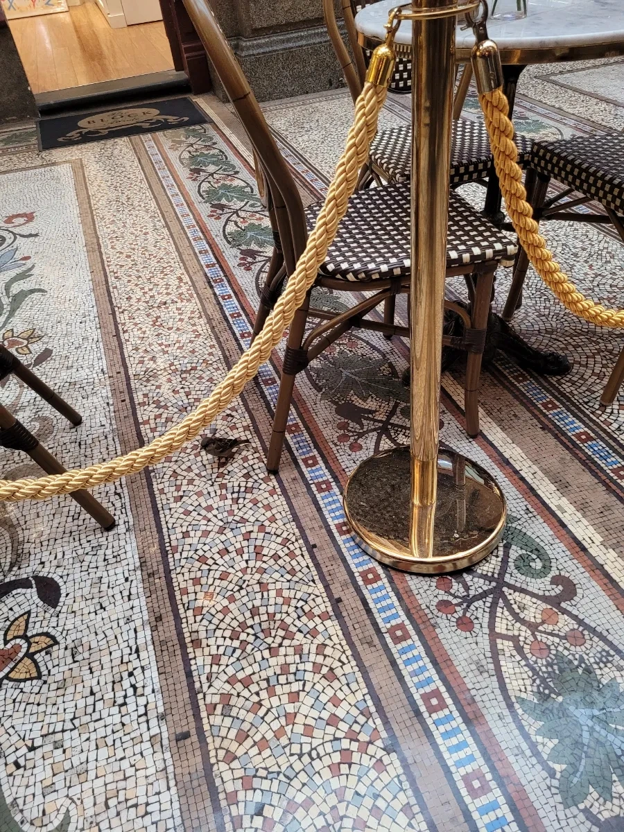 20240429%EF%BC%BF090332.jpg?type=w966