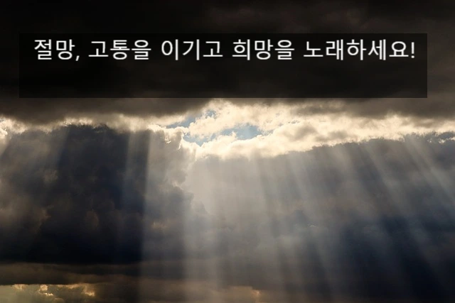 SE-8ed8f7c5-749c-4602-a843-bd9c0e46043c.jpg?type=w966