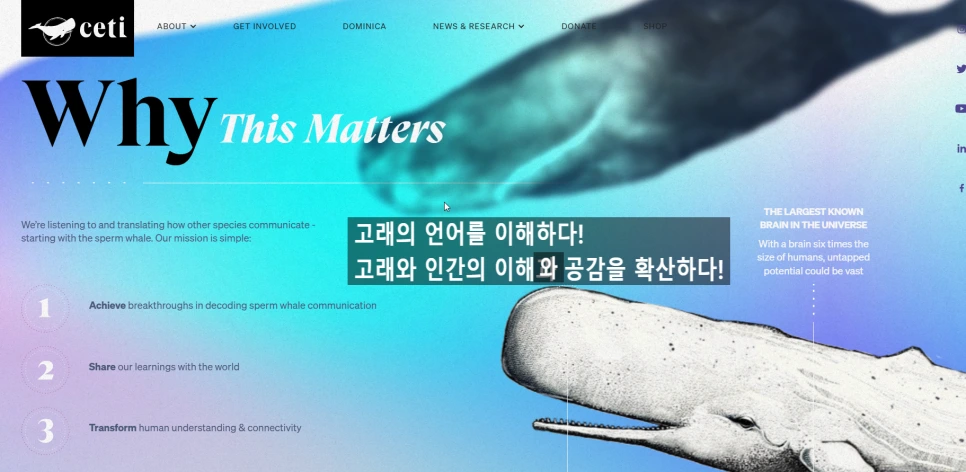 SE-79f99a3f-acdf-4ad9-b9b8-20d4a5412ba5.png?type=w966