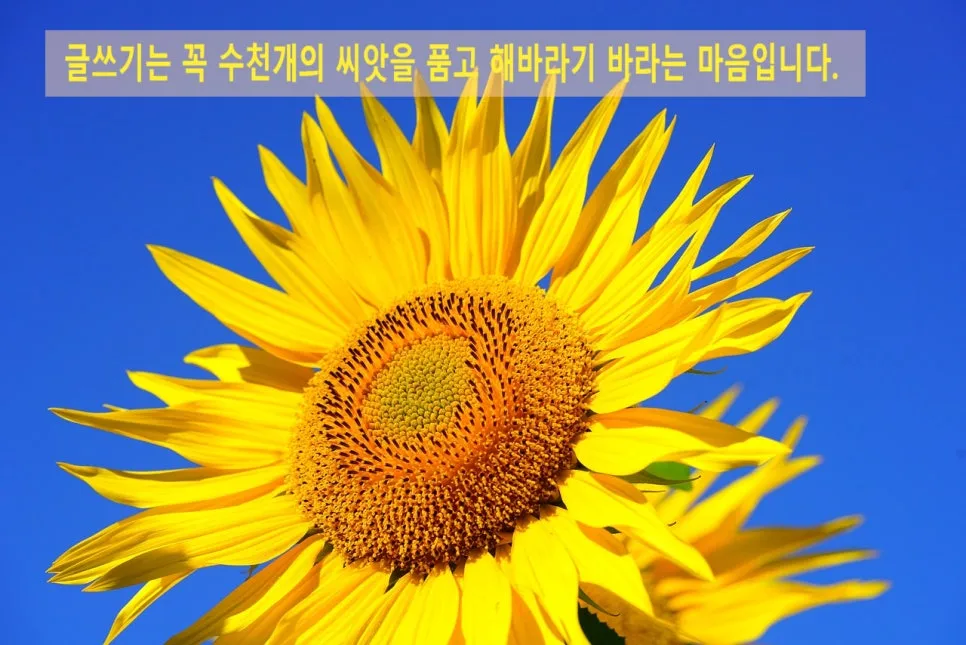 SE-31429ec6-dfed-48fe-a589-212f40bed4ba.jpg?type=w966