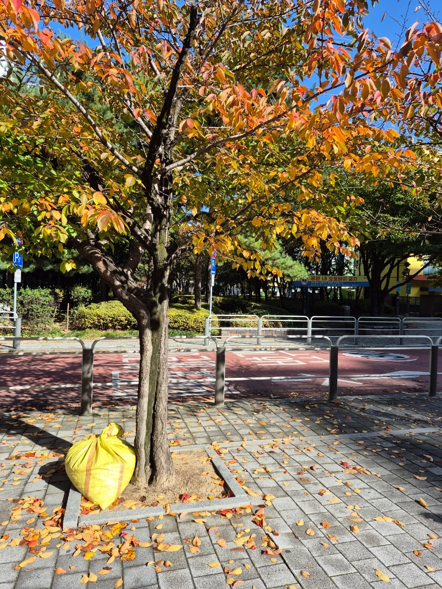 900%EF%BC%BF20251102%EF%BC%BF104556.jpg?type=w966