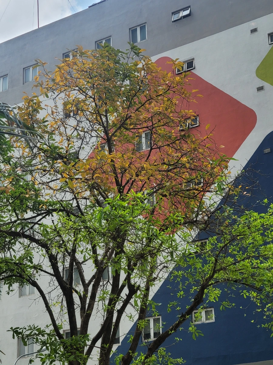 900%EF%BC%BF20250302%EF%BC%BF105816.jpg?type=w966