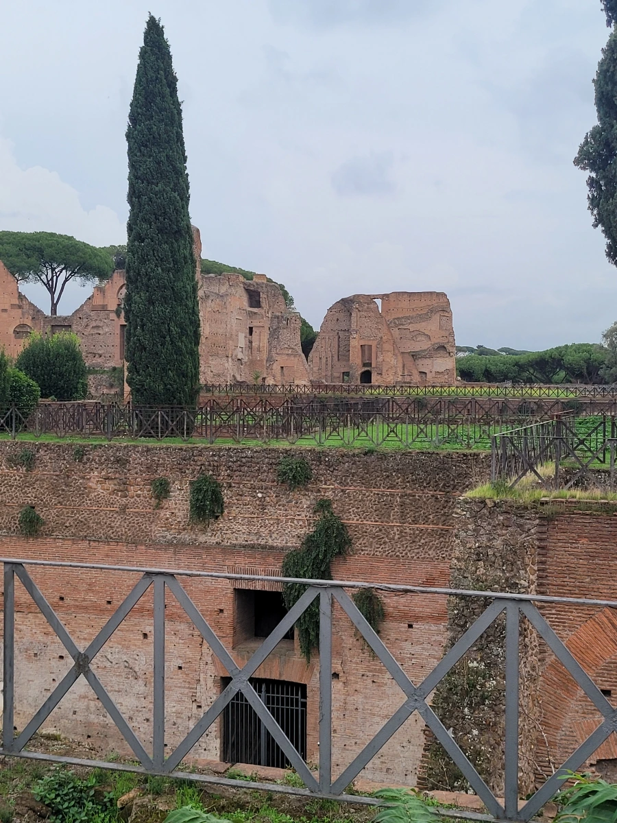 20241018%EF%BC%BF171313.jpg?type=w966