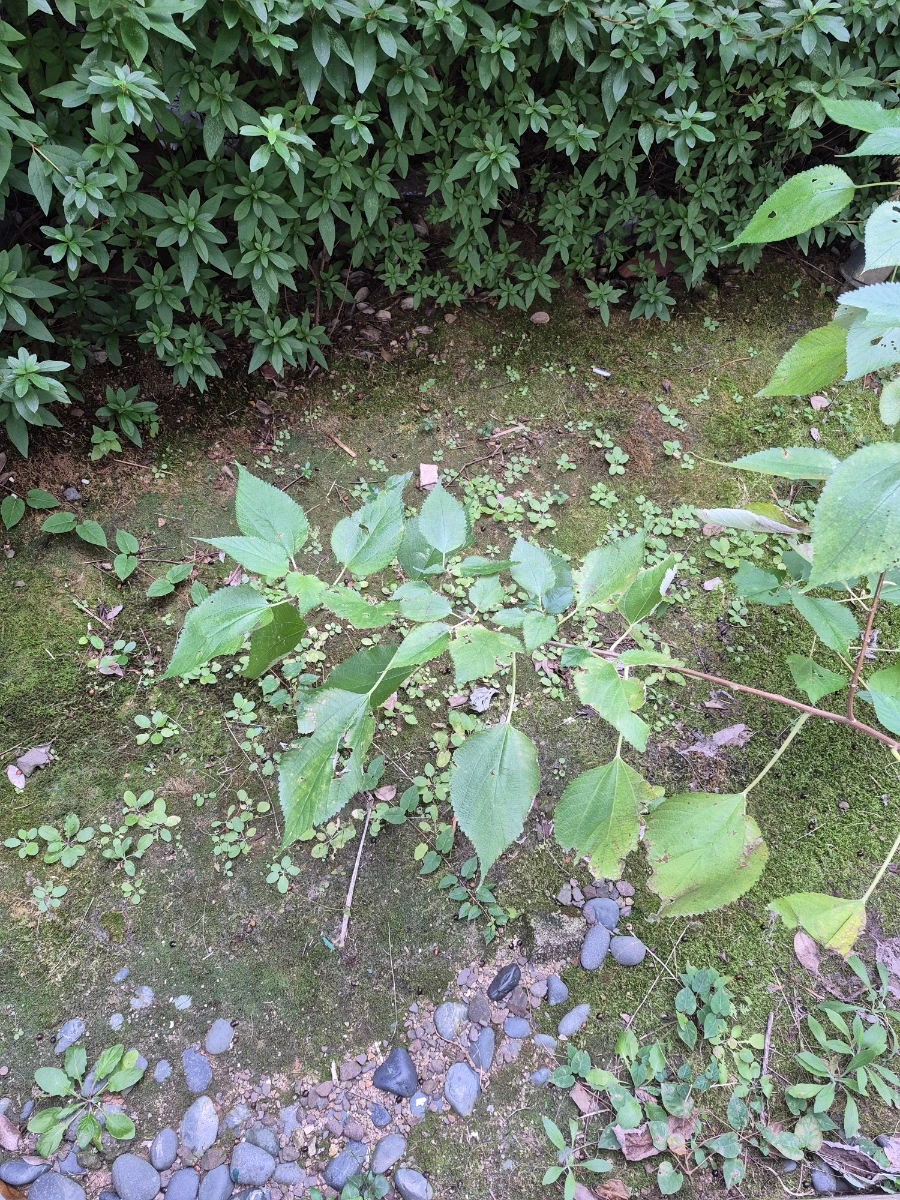 900%EF%BC%BF20251030%EF%BC%BF105938.jpg?type=w966