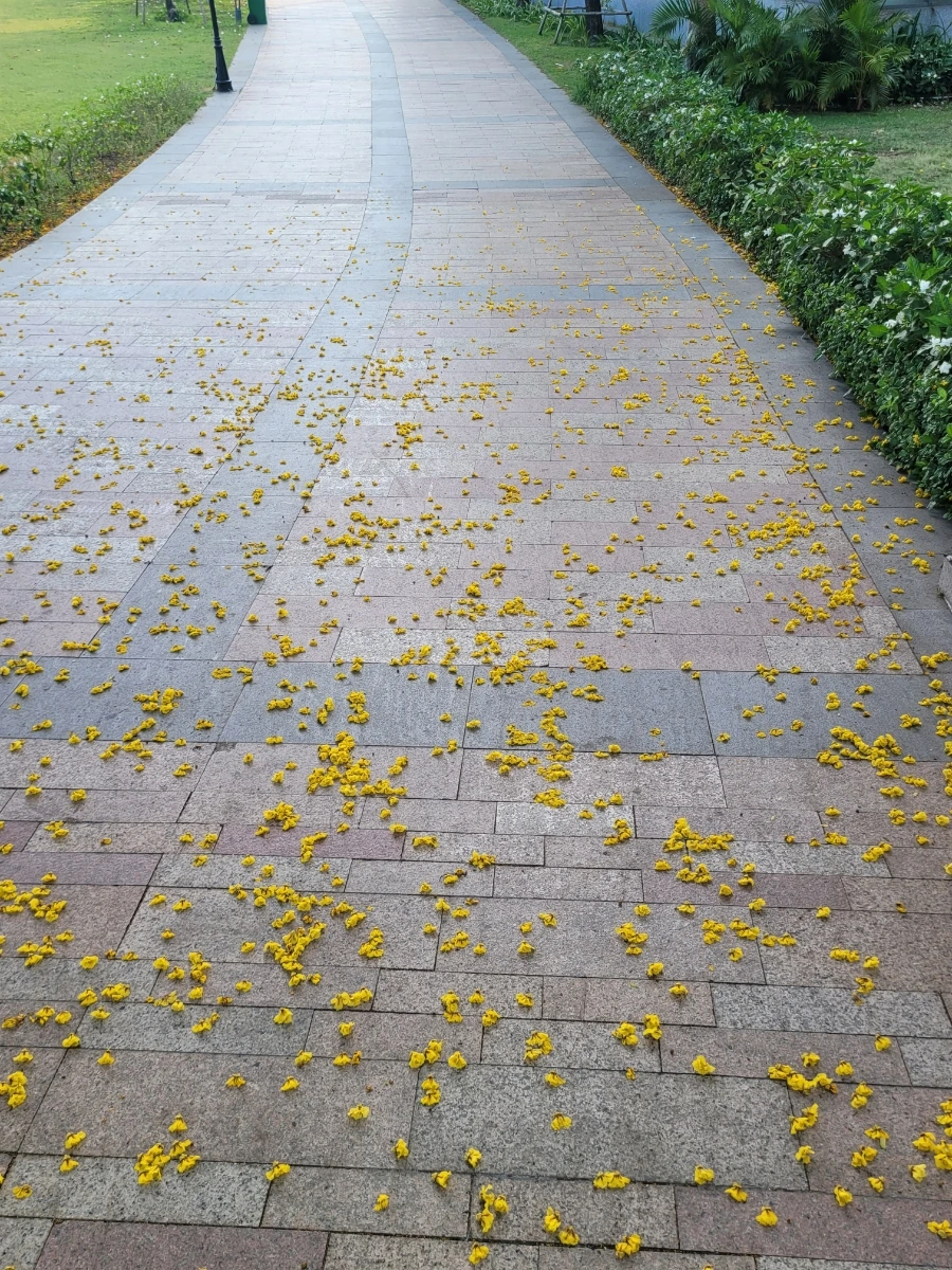 900%EF%BC%BF20250316%EF%BC%BF154422.jpg?type=w966