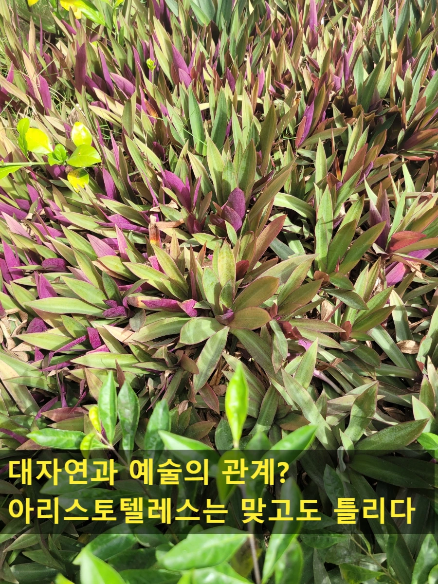 SE-8854d1cc-f35e-11ef-b83a-0171825211f7.jpg?type=w966