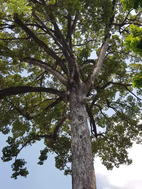 1592123655205.jpg?type=w966