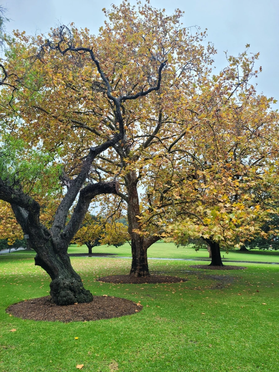 20240430%EF%BC%BF094441.jpg?type=w966