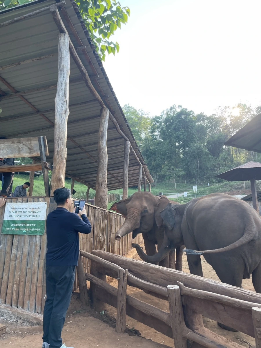 900%EF%BC%BF1745217359974.jpg?type=w966