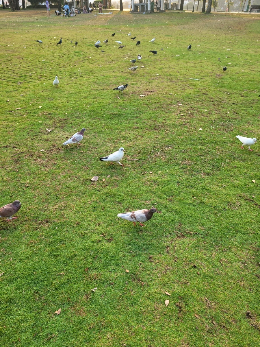 20240317%EF%BC%BF063116.jpg?type=w966