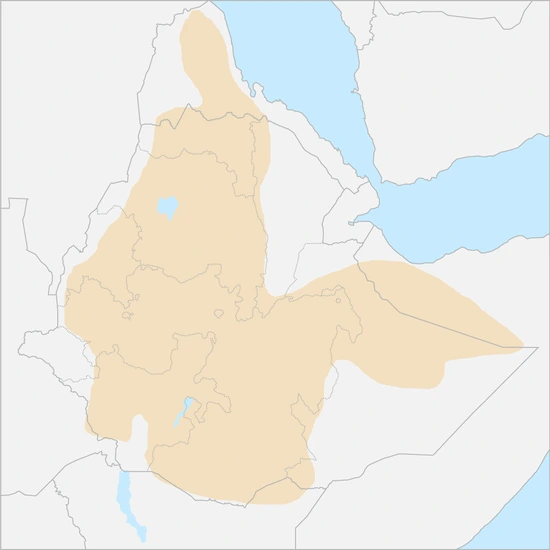 550px-%EC%97%90%ED%8B%B0%EC%98%A4%ED%94%BC%EC%95%84%EA%B3%A0%EC%9B%90_%ED%96%89%EC%A0%95_%EC%A7%80%EB%8F%84.png?type=w966