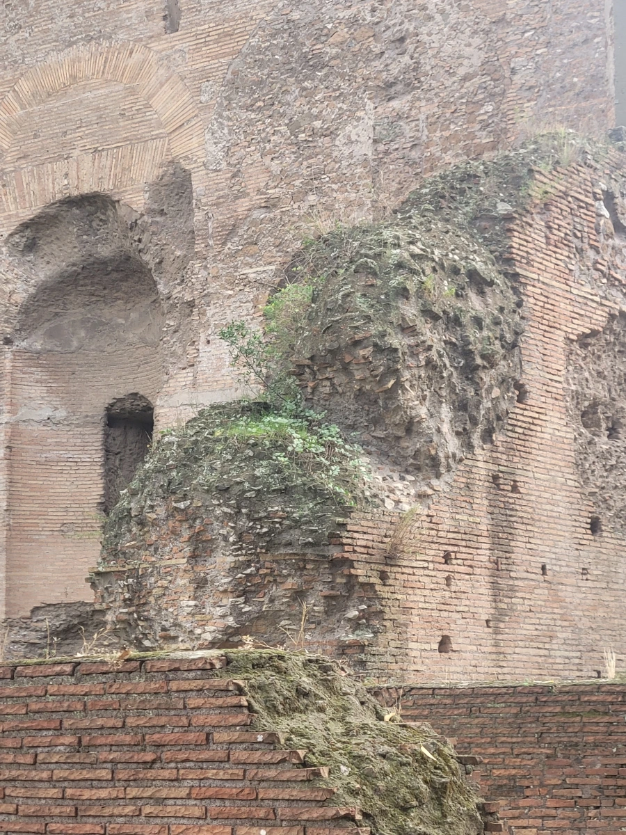 900%EF%BC%BF20241018%EF%BC%BF162541.jpg?type=w966