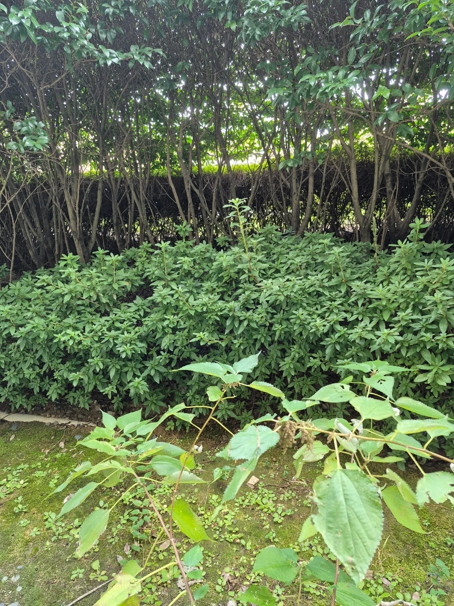 900%EF%BC%BF20251030%EF%BC%BF105951.jpg?type=w966