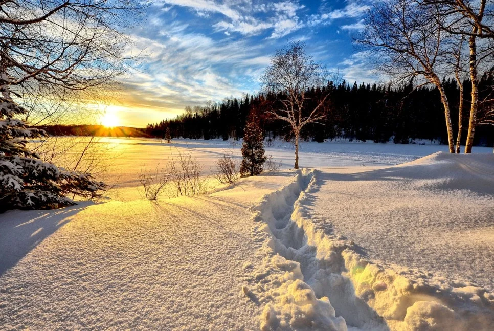 winter-landscape-636634_1280.jpg?type=w966