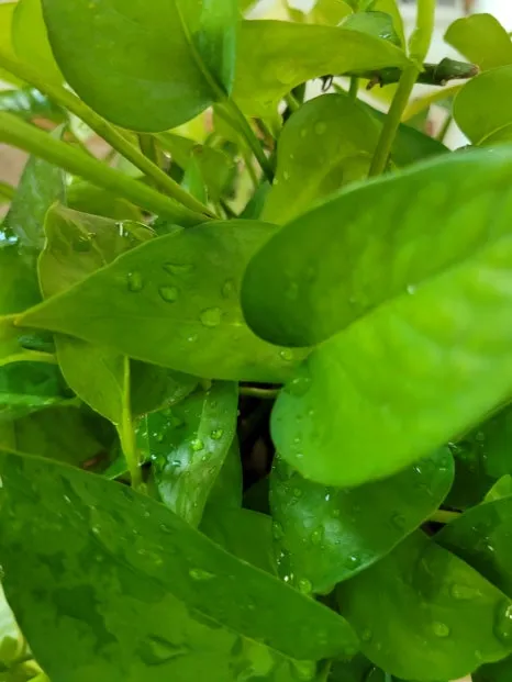 20240513%EF%BC%BF160628.jpg?type=w466