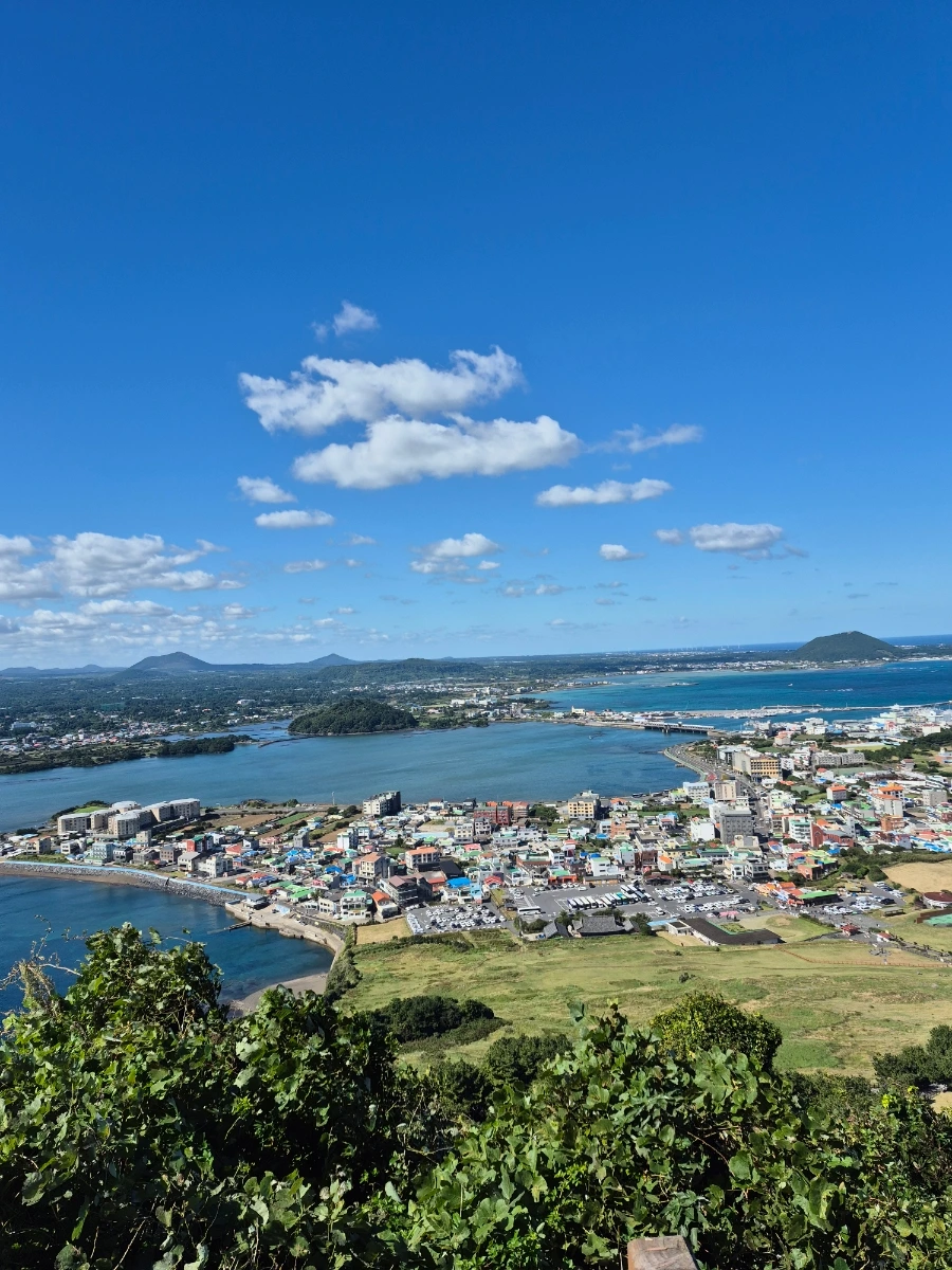 900%EF%BC%BF20251028%EF%BC%BF121827.jpg?type=w966