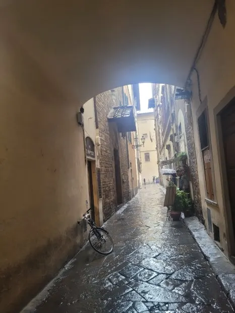 20241017%EF%BC%BF150202.jpg?type=w466