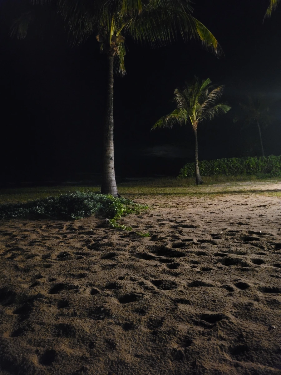 20240902%EF%BC%BF021727.jpg?type=w966