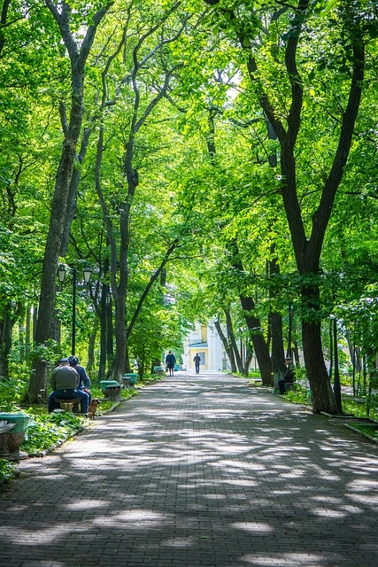 park-4546166_640.jpg?type=w966