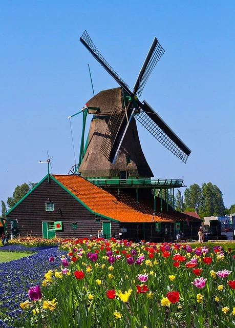 windmill-858143_640.jpg?type=w966