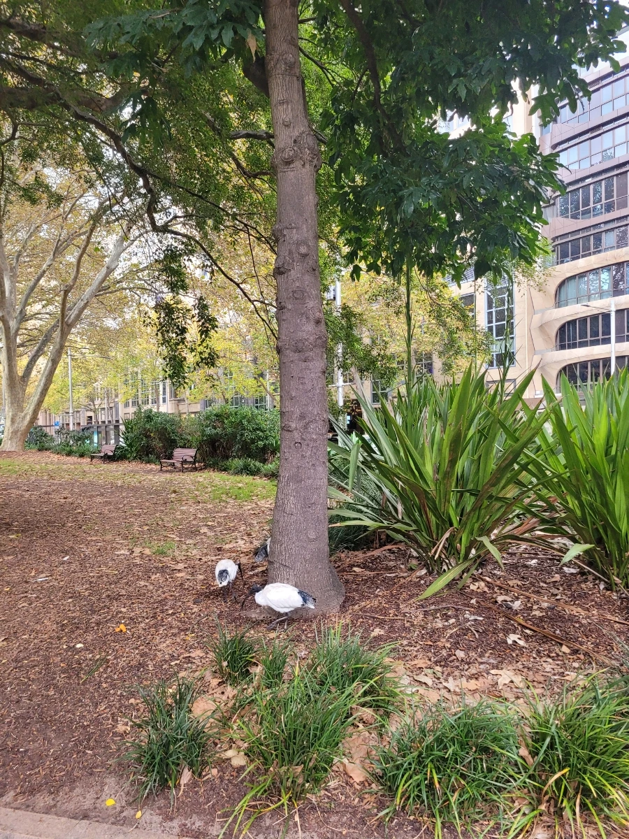 20240430%EF%BC%BF082842.jpg?type=w966