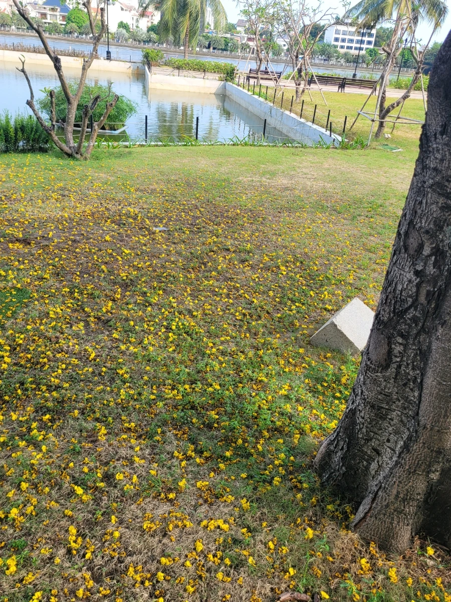 900%EF%BC%BF20250316%EF%BC%BF154457.jpg?type=w966