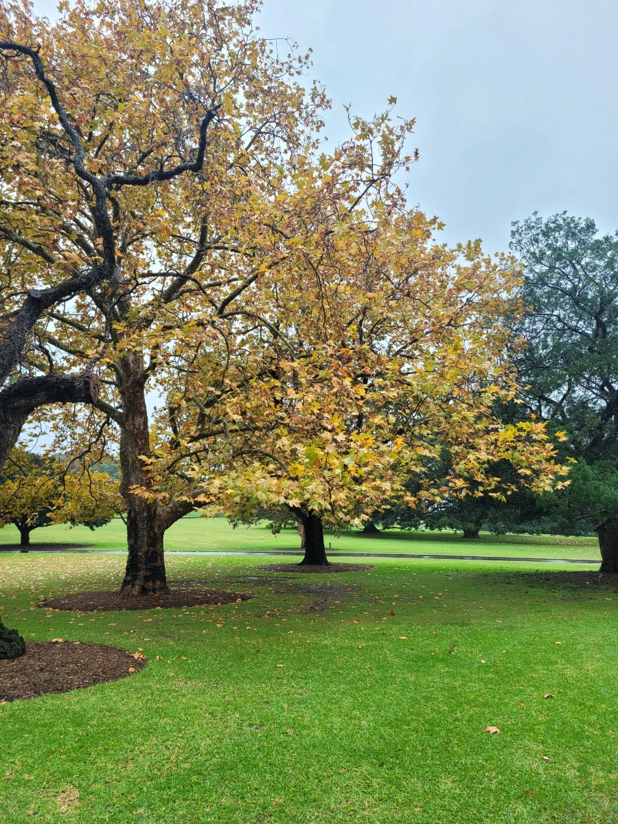 20240430%EF%BC%BF094444.jpg?type=w966