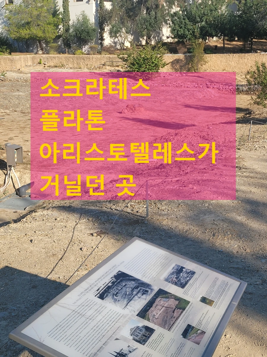 SE-4435a823-9c18-11ef-ae49-cf9a6d597917.jpg?type=w966