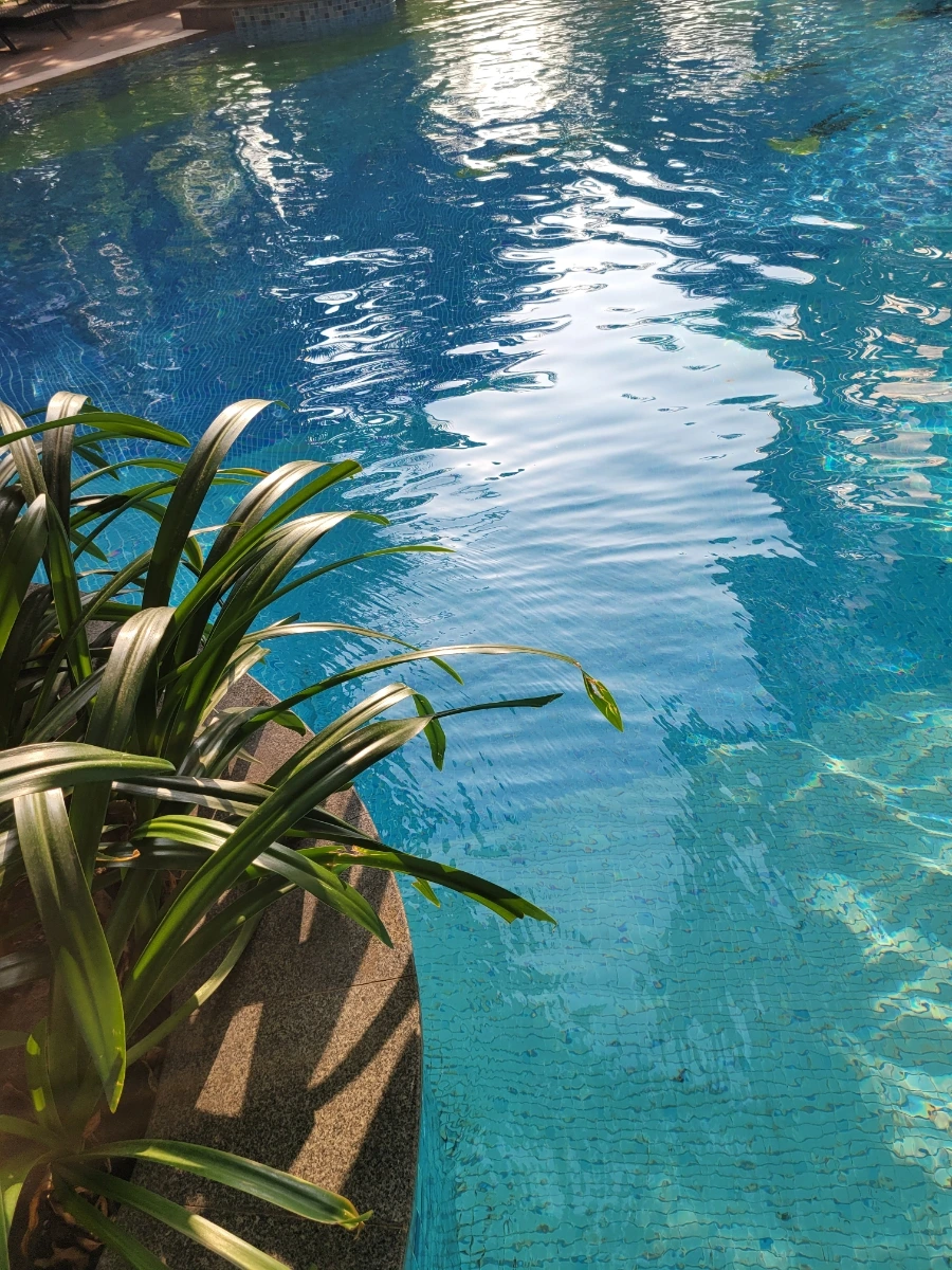 20240317%EF%BC%BF073849.jpg?type=w966